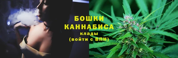 ПСИЛОЦИБИНОВЫЕ ГРИБЫ Арсеньев