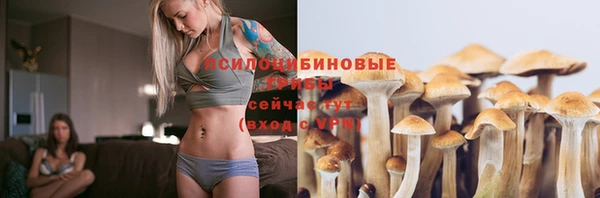 Альфа ПВП Аркадак