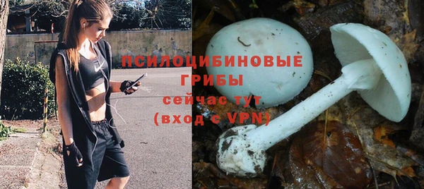 мет Армянск