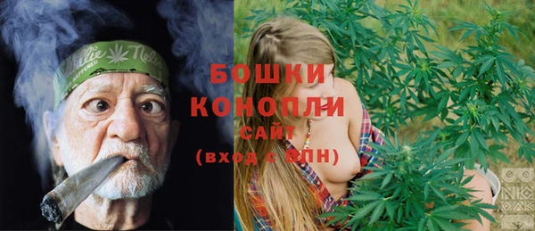 ПСИЛОЦИБИНОВЫЕ ГРИБЫ Арсеньев