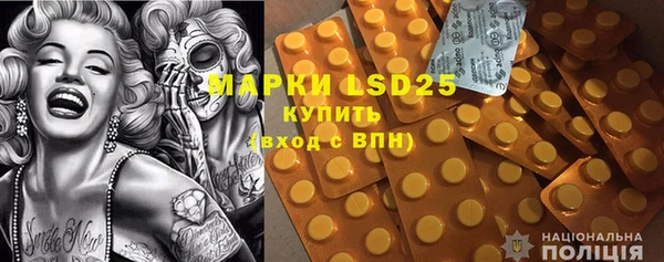 ПСИЛОЦИБИНОВЫЕ ГРИБЫ Арсеньев
