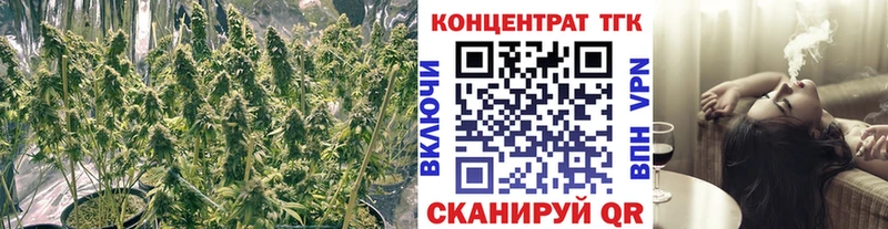 Купить где  Спасск  Дистиллят ТГК THC oil 